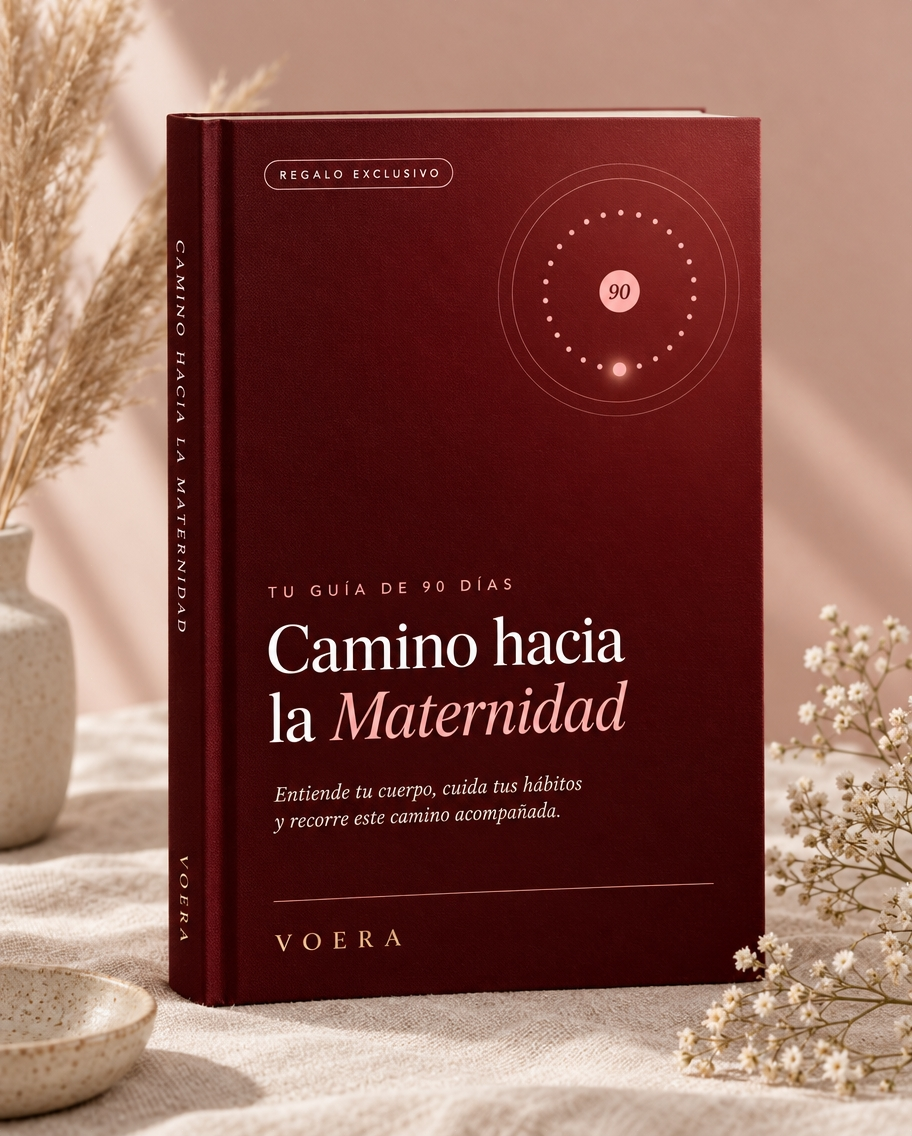 Tu Guía de 90 Días De Camino A La Maternidad